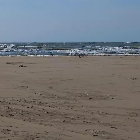 Primavera 115, T2 Avec Piscine, Parking à 300m *